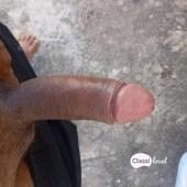 Dois amigos com local procura por mulheres e trans para amizade e diversões... 😜😋 — foto 2 de 4
