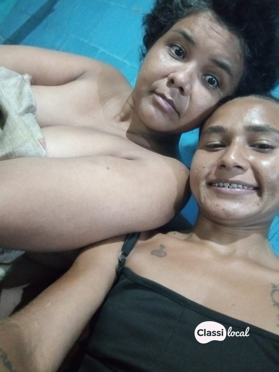 Conteúdos e programa — foto 2 de 2