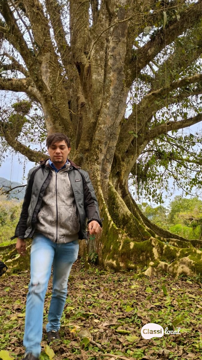 Procurando uma mulher que curte uma chupada sem frescura — foto 1 de 1