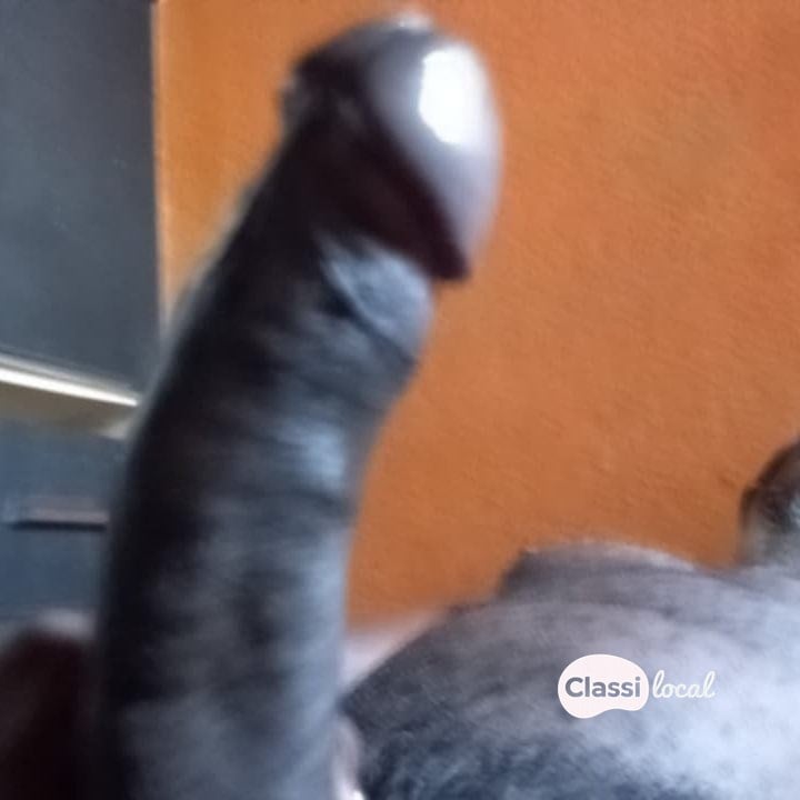 ACOMPANHANTE